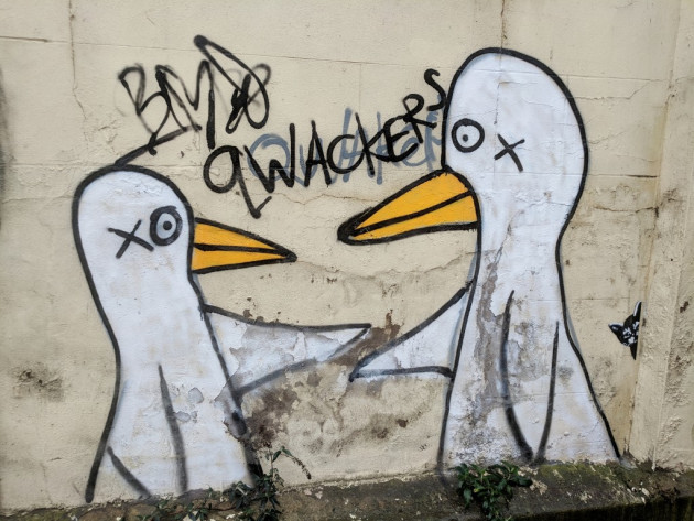 Graffiti of two white ducks